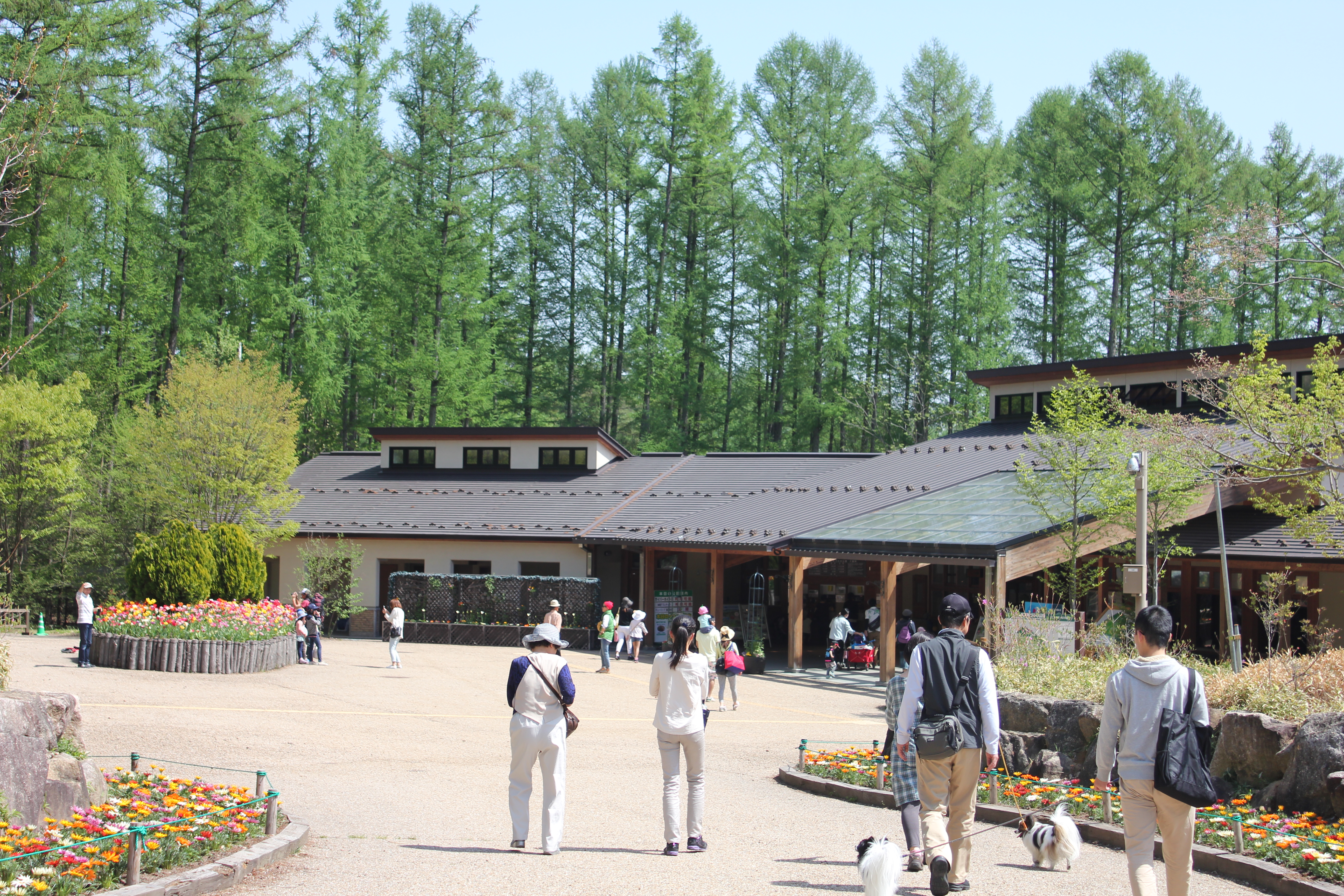 国営アルプスあづみの公園（大町・松川地区）は３歳児でも十分楽しめる！