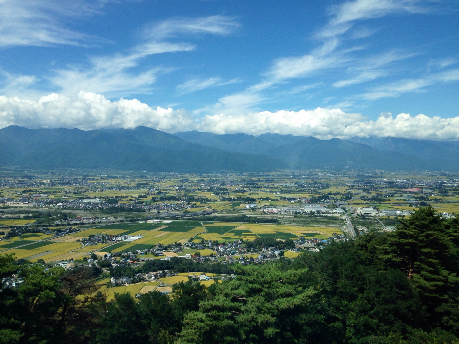 元川悦子さん著「勝利の街に響け凱歌ー松本山雅という奇跡のクラブ」