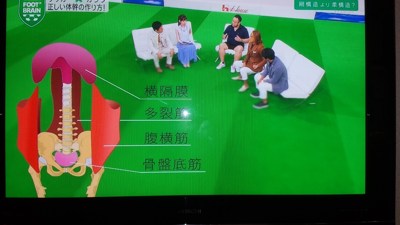 体幹(インナーマッスル)