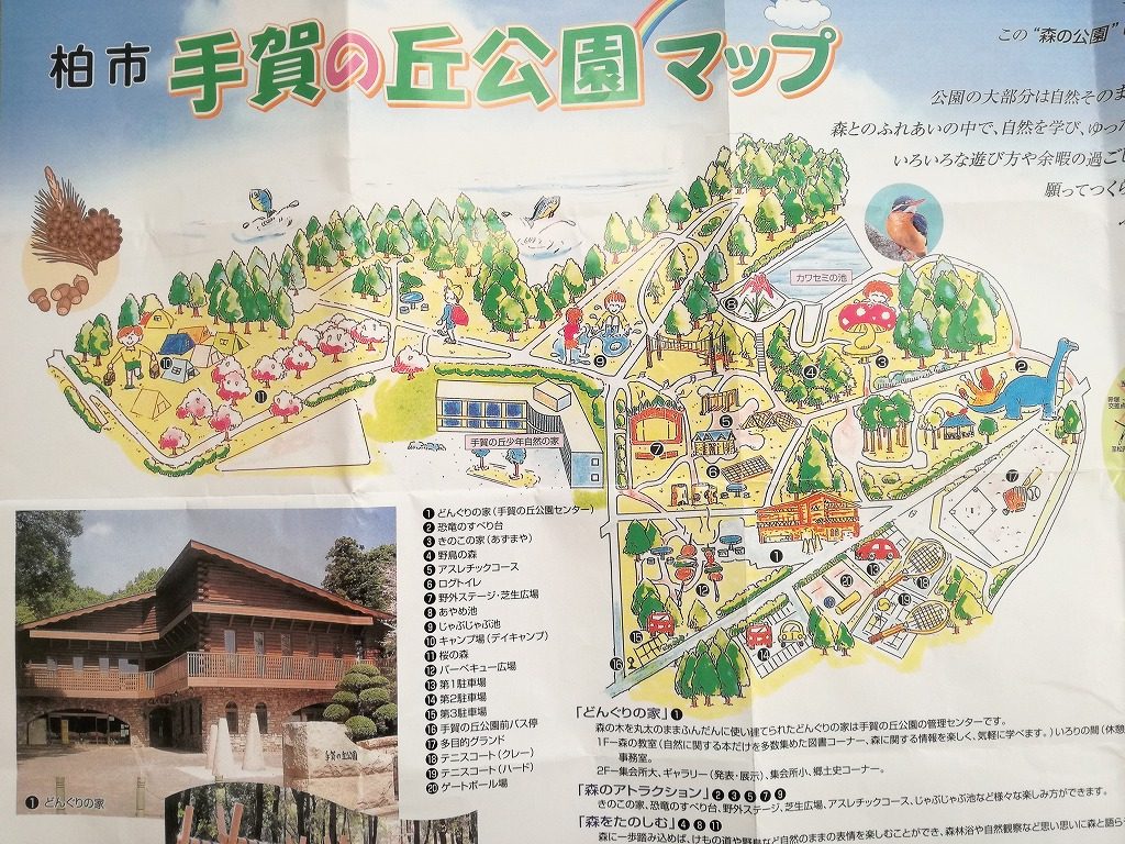 手賀の丘公園は森の中の公園！アスレチックスとキャンプ場と恐竜
