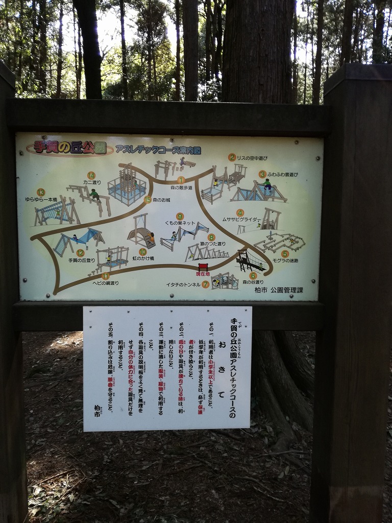 手賀の丘公園のアスレチック