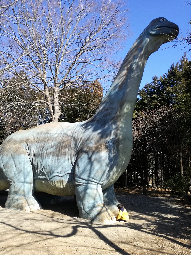 手賀の丘公園の恐竜滑り台